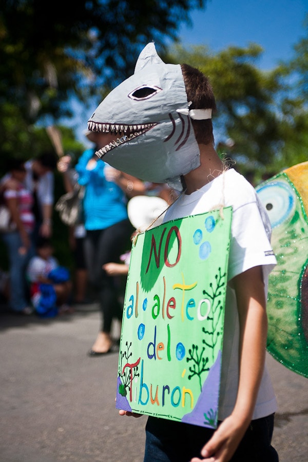 Boy dressed as shark at parade in Costa Rica
