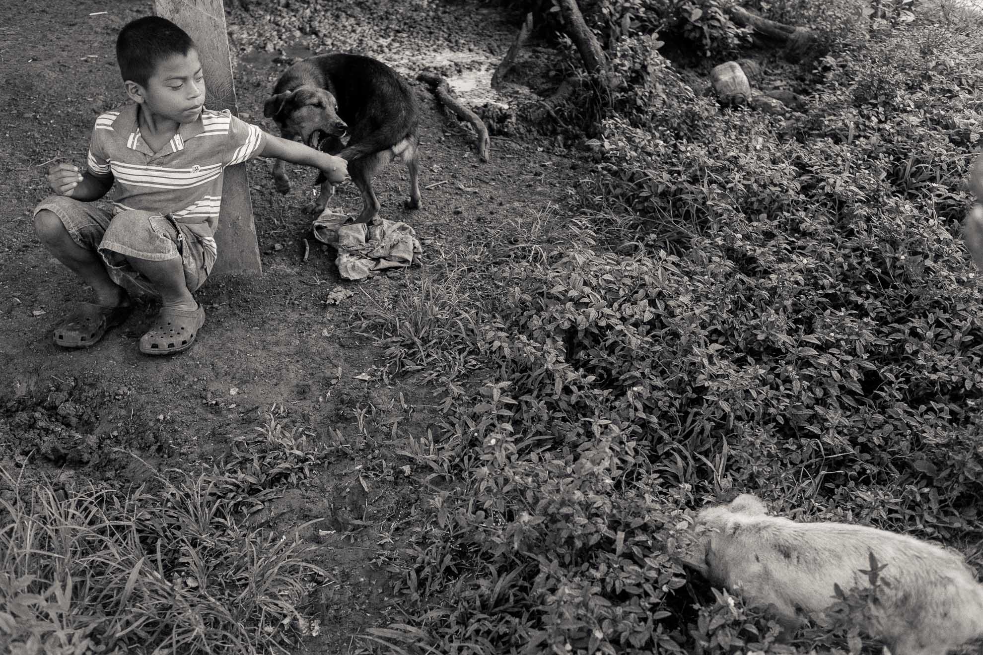 Boy with dogs on Isla Cristobal, Panama