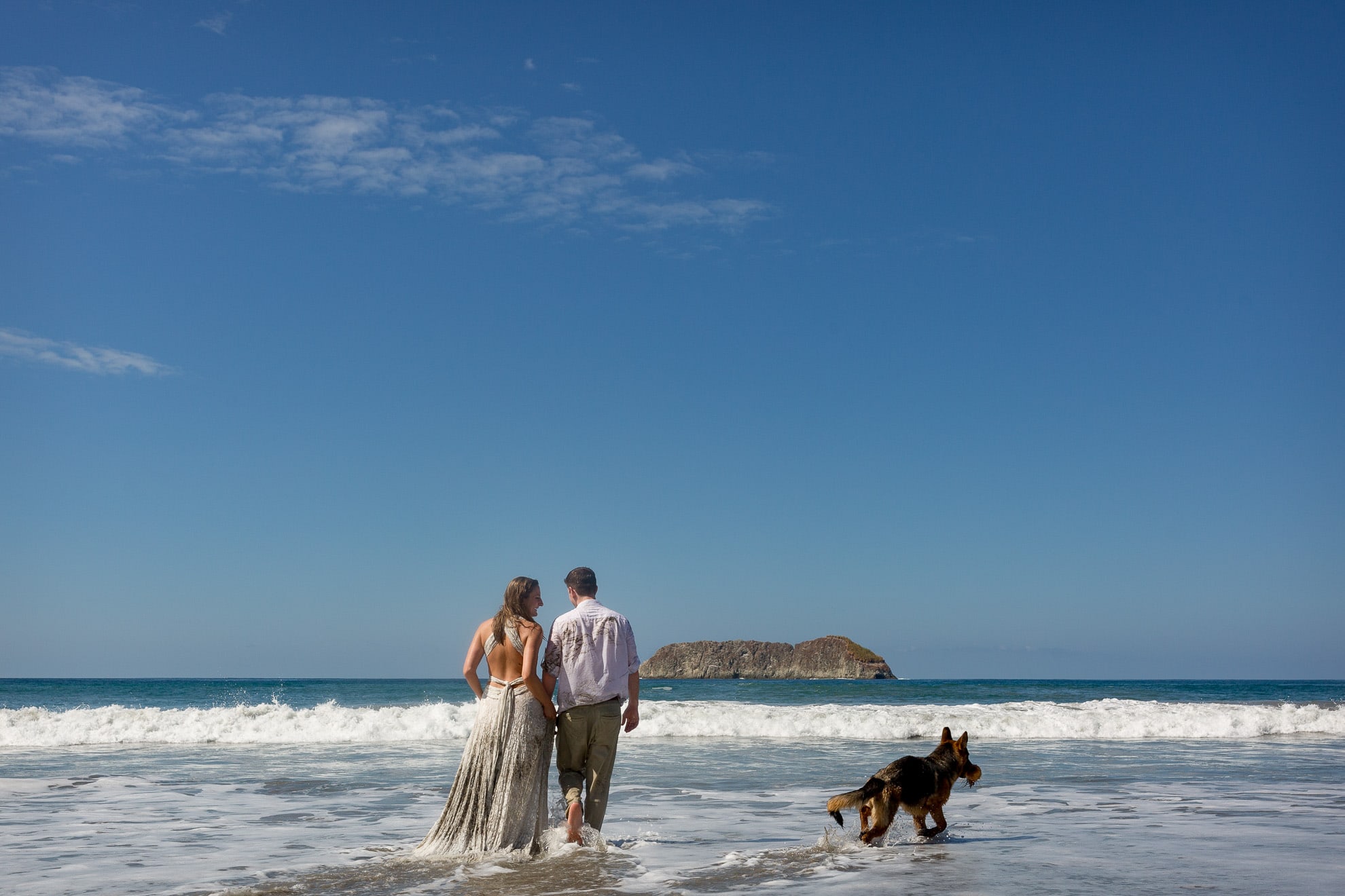 trash the dress with a German Shepard thanking them for their volunteer honeymoon