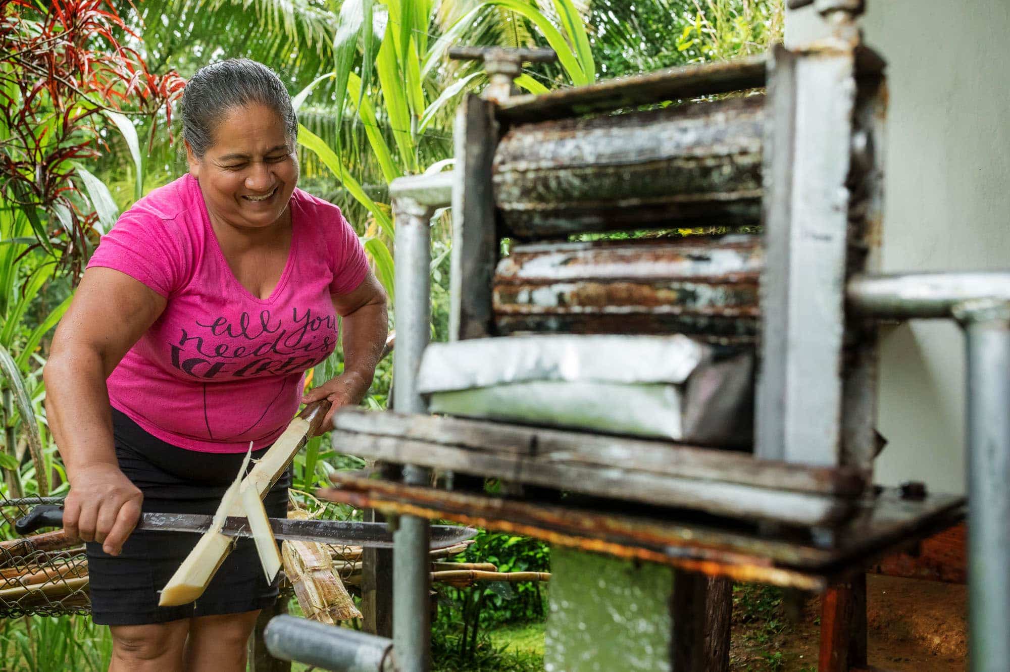 Costa Rican woman cutting the sugar can in preparation for pressing